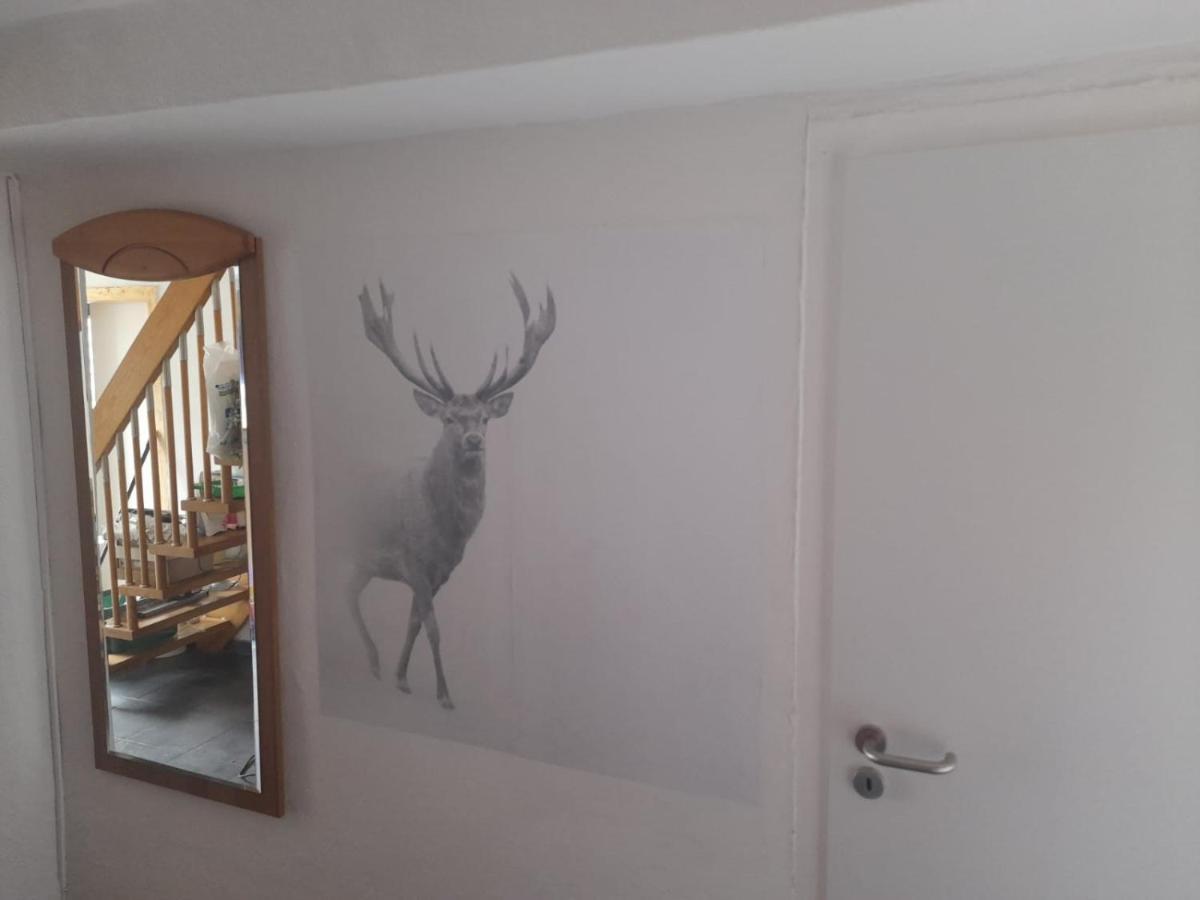 Ferienwohnung Beckmann Bad Lauterberg Exteriör bild